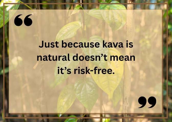 (672 x 480 px)  (100)