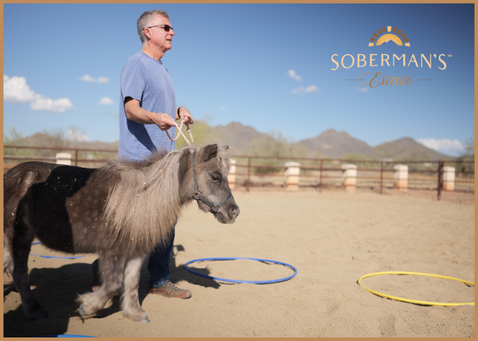 Emotional Regulation Is the New Superpower: How We Teach It at Soberman’s Estate