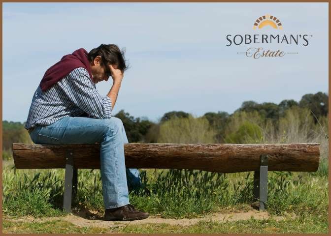 (672 x 480 px)  (45)