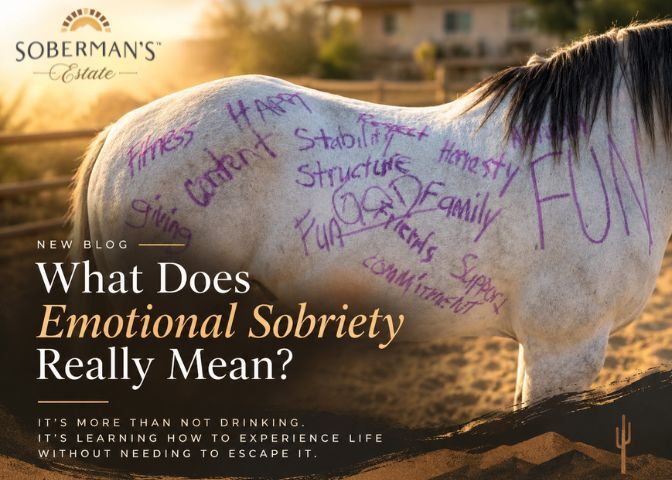 What Does Emotional Sobriety Really Mean?