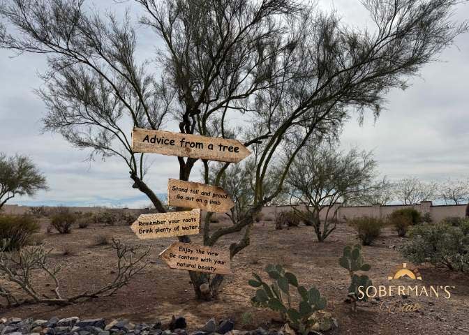 Advice from a Tree: Wisdom for the Journey of Sobriety