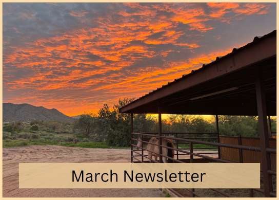 1-Feb-27-2026-05-05-58-4060-PM