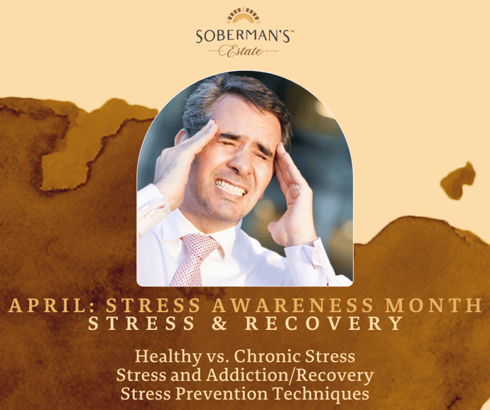 Stress and Addiction