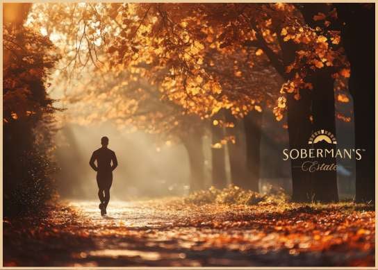 _(544 x 389 px) (23)