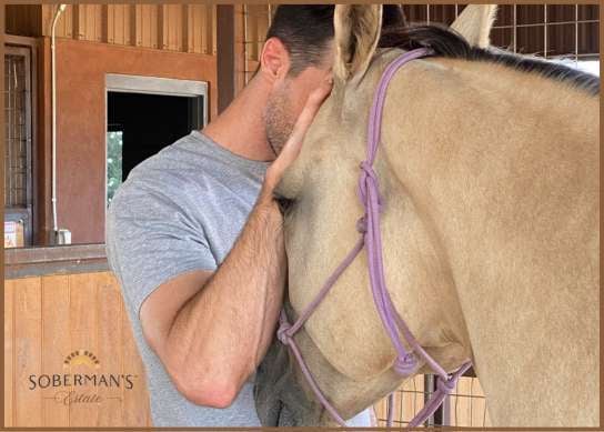 _(544 x 389 px) (66)