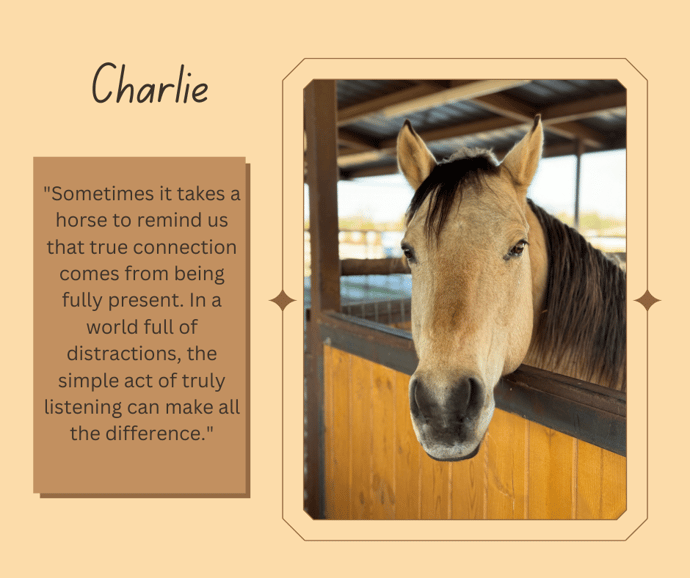 Lessons Learned From a Horse