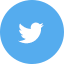icon-twitter