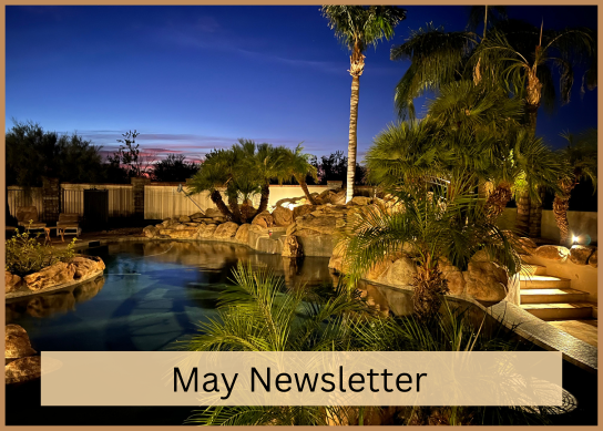 may newsletter - pool at night