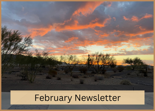 february newsletter - dessert sunset