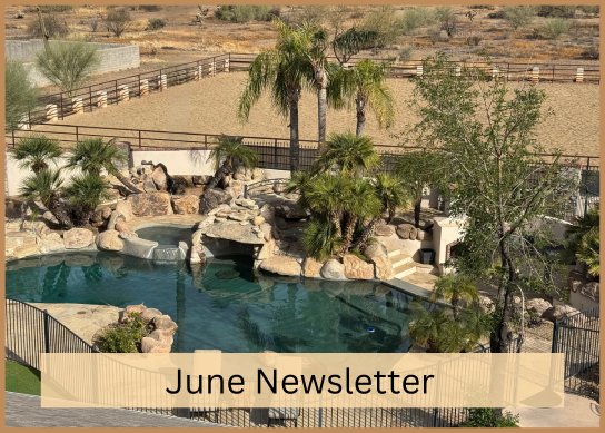 june newsletter image of pool