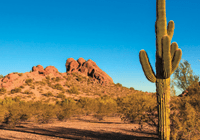 Serene Surroundings | sunny remote beautiful landscape cactus mountains desert